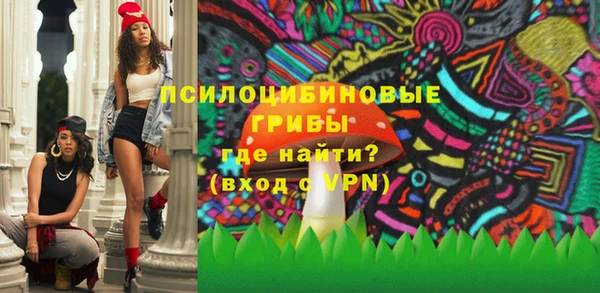 прущие грибы Алзамай