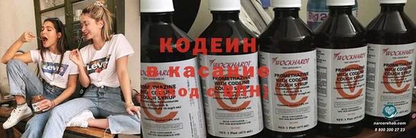прущие грибы Алзамай